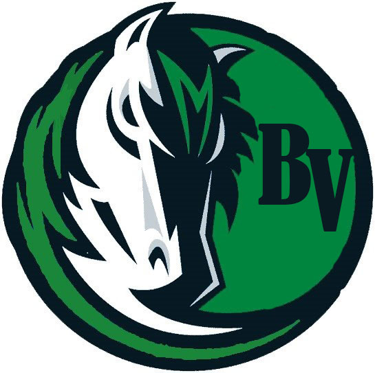 BV Logo pic